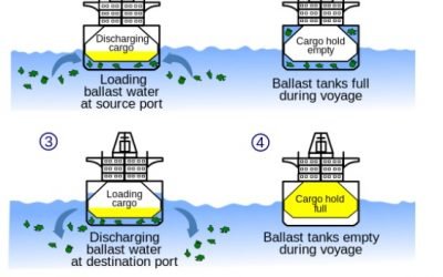 Dasar Ballast Water Management System